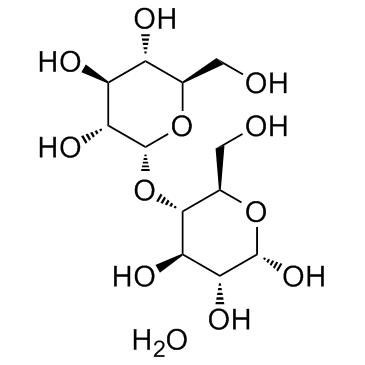 6363-53-7 Maltose monohydrate