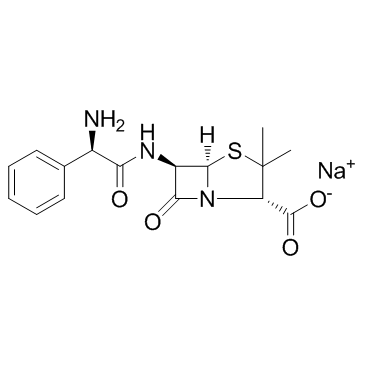 69-52-3 Ampicillin sodium