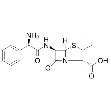 69-53-4 Ampicillin