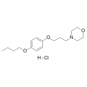 637-58-1  Pramoxine Hcl