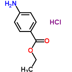 23239-88-5  Benzocaine HCL