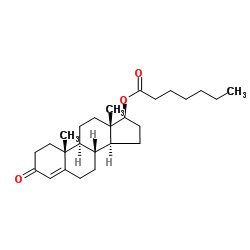 315-37-7  Testosterone Enanthate