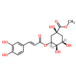 29708-87-0 Methyl chlorogenate