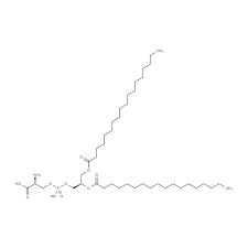 51446-62-9  Phosphatidylserine