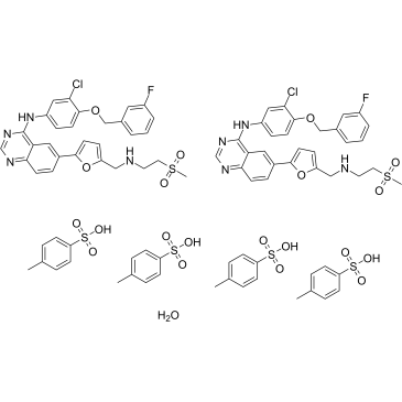 388082-78-8 	Lapatinib ditosylate hydrate