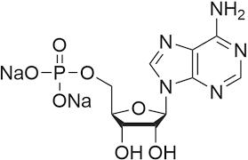 4578-31-8 Adenosine 5-monophosphate disodium salt